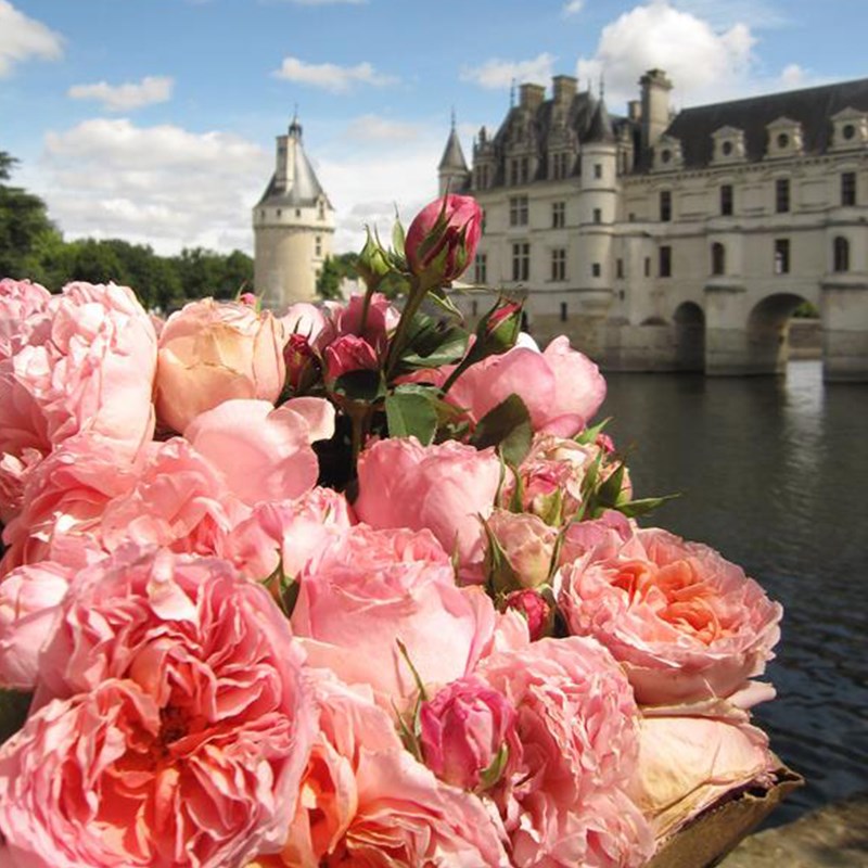 達梅思(Dames de Chenonceau)