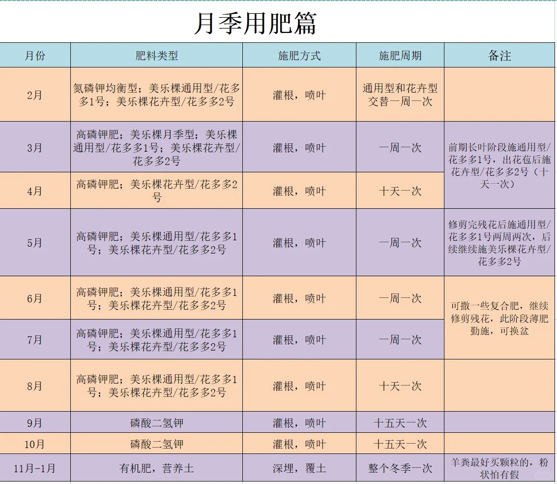 月季什么時(shí)候施肥最好