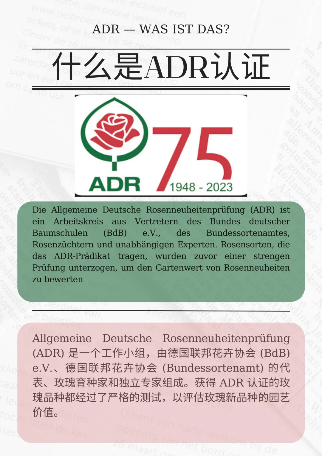 什么是ADR認證，ADR月季官網(wǎng)名單