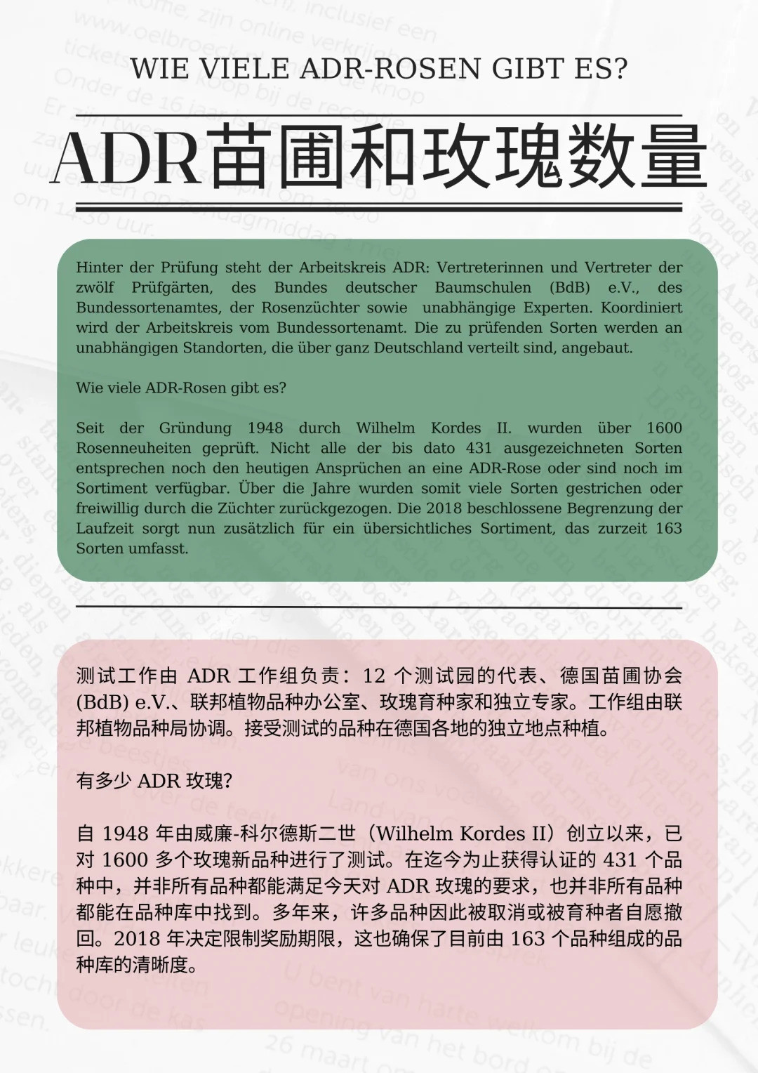 什么是ADR認證，ADR月季官網(wǎng)名單